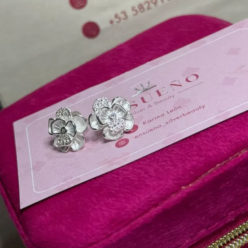 Aretes Pandora 
