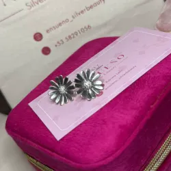 Aretes Pandora 