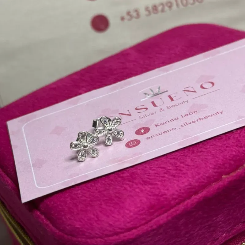 Aretes Pandora 