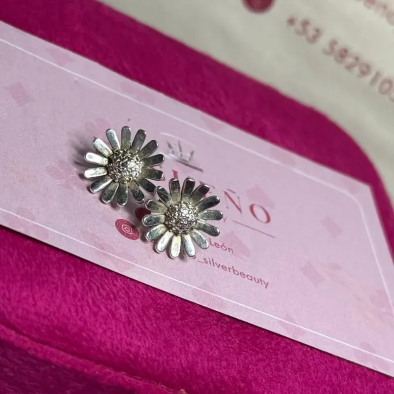 Aretes Pandora 