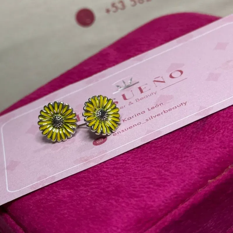 Aretes Pandora 