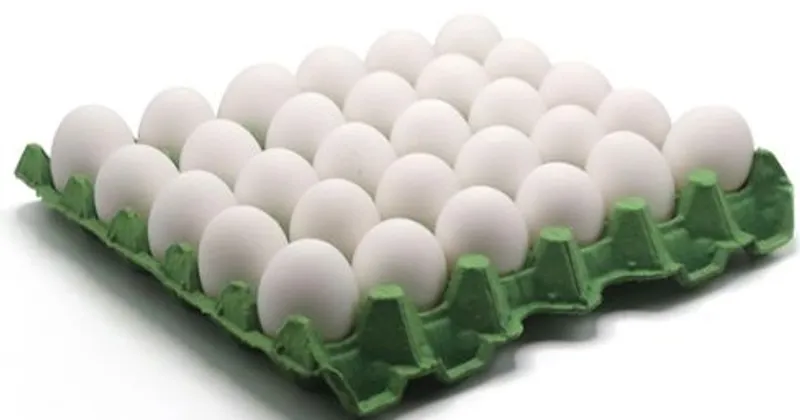 Carton de huevos