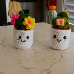 Maceticas con flores