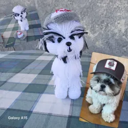 Mascotas personalizadas 