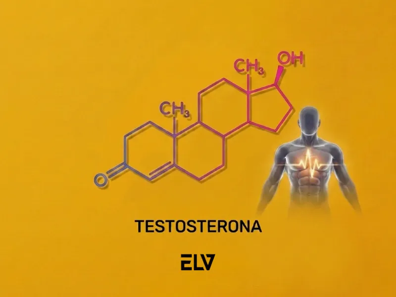 Endo & Regeneración  (Testosterona + Colágeno)