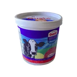 Helado GUSTÓ de Naranja-Piña