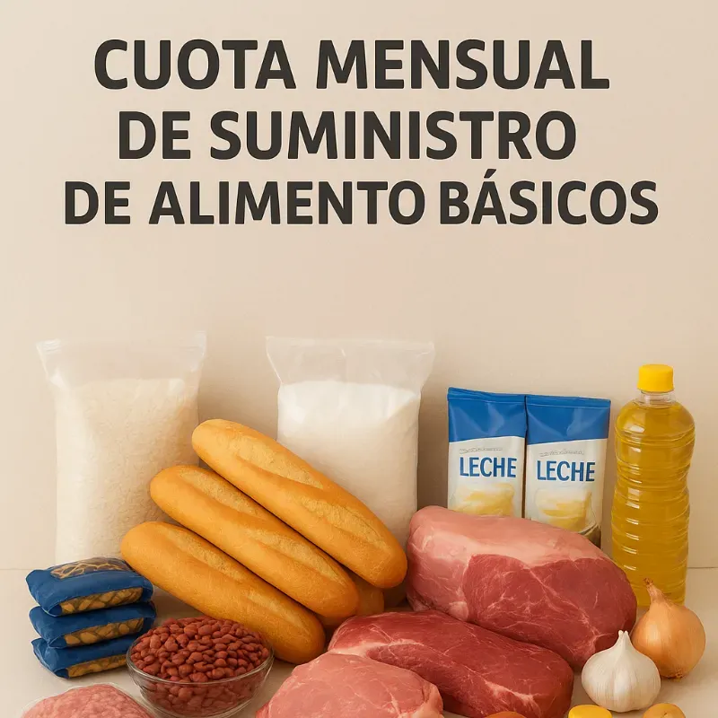 Cuota mensual de alimentos básicos 📃