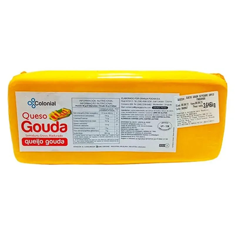 Queso Gouda