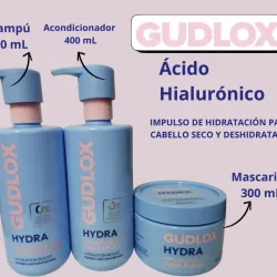 Línea Gudlox