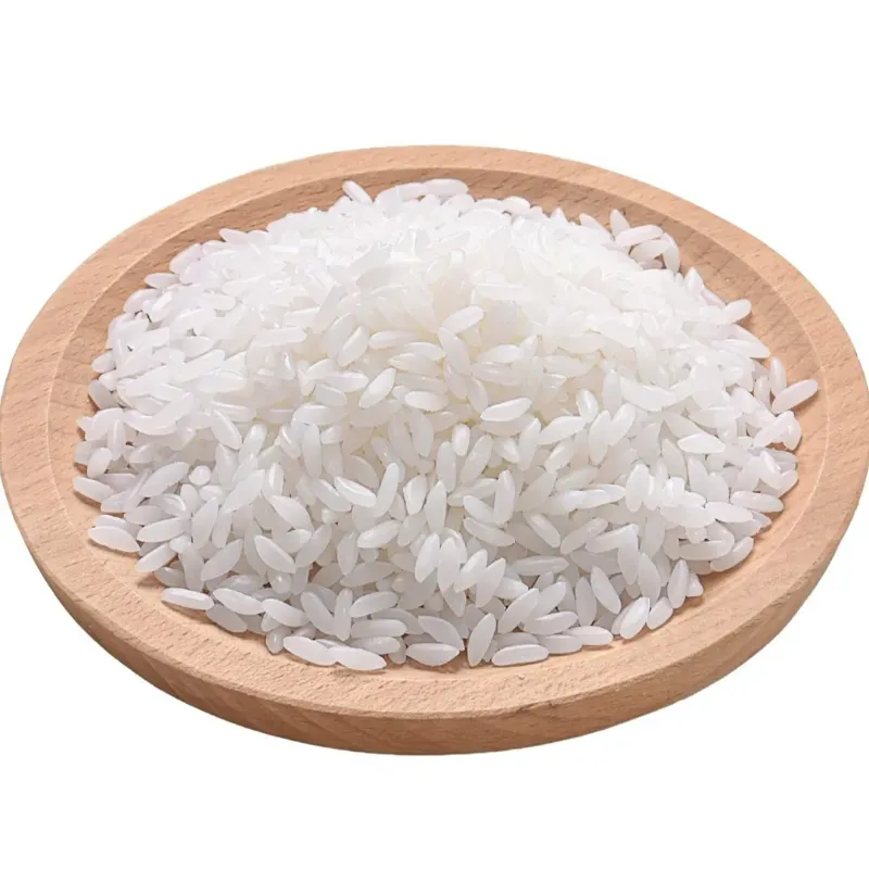 ARROZ CRIOLLO