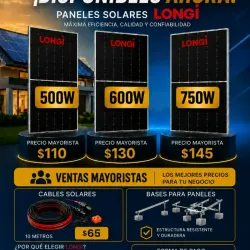 Paneles Solares LONGI