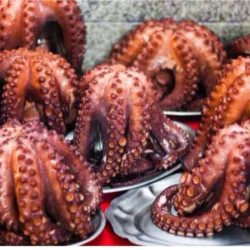 Pulpo