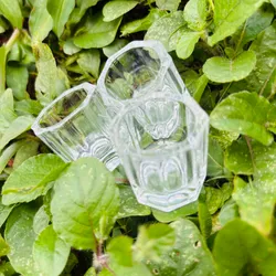 Vaso 