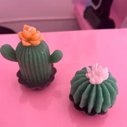 Velas aromáticas de cactus