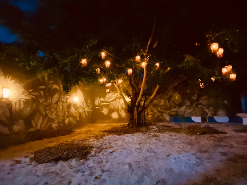 Luminaria