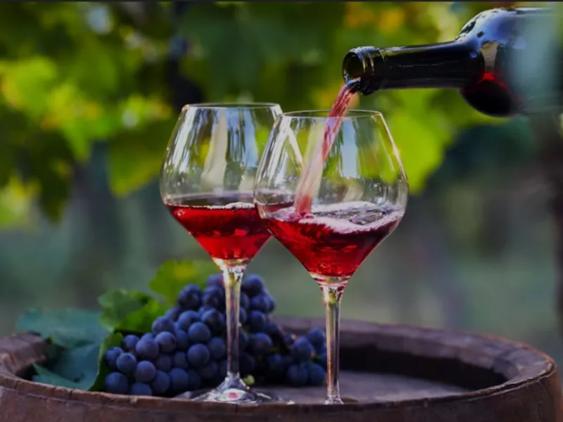 🇫🇷 Francia 🍷 