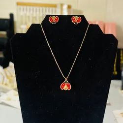 Set de cadenas y aretes  ✨