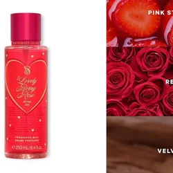 ❣️🌹Lovely Berry Rose🌹❣️