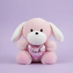 🩷Peluche🩷