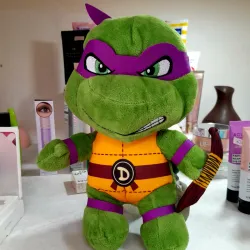 Tortuga Ninja 