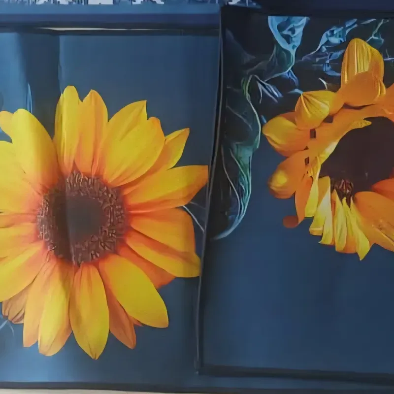 Alfombra para cocina de 3 piezas 