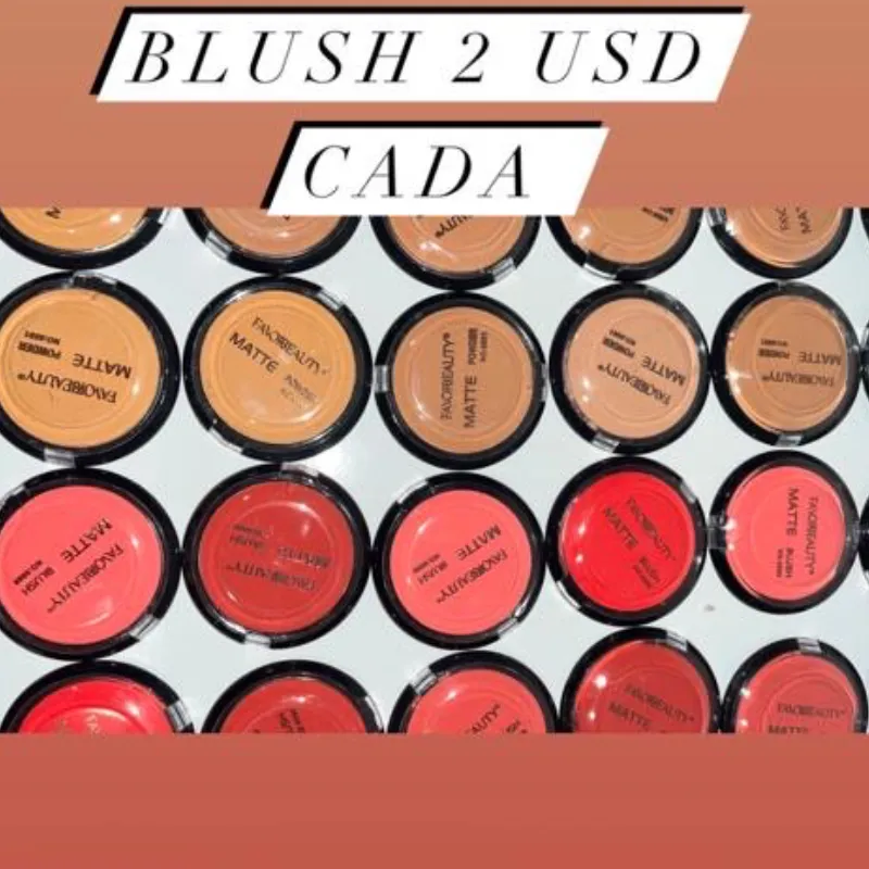 Blush y Base en Polvo