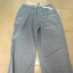 Mono gris