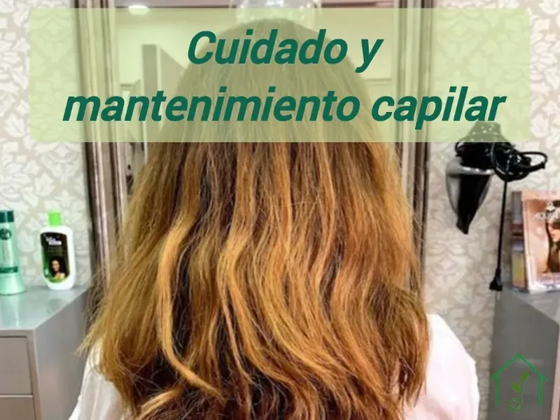 Cuidado y mantenimiento capilar