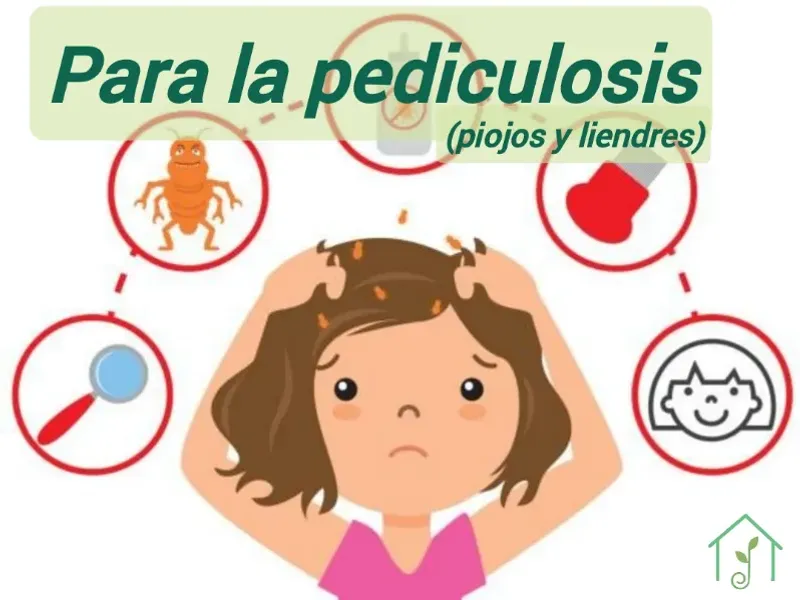 Para la pediculosis