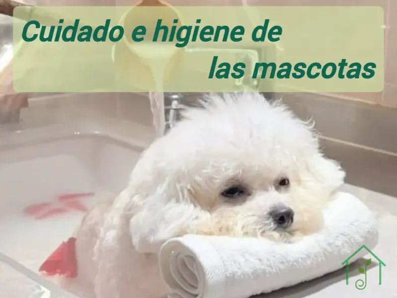 Cuidado e higiene de las mascotas
