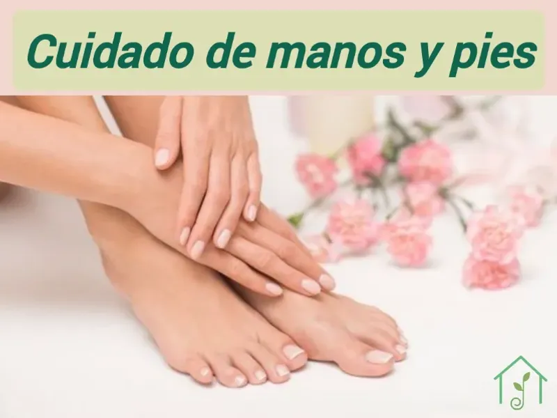 Cuidado de manos y pies