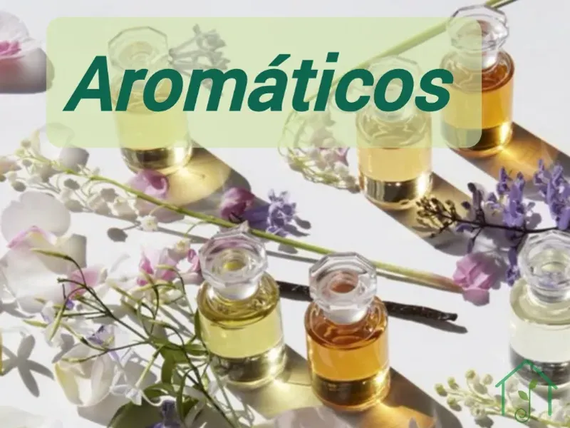 Artículos aromáticos