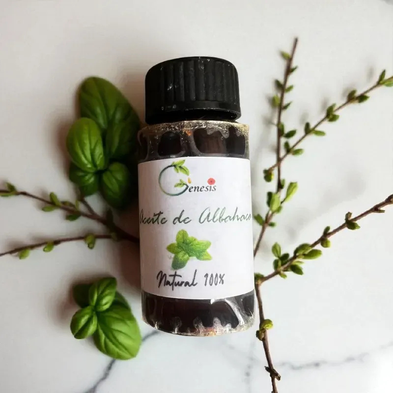 Oleato de albahaca