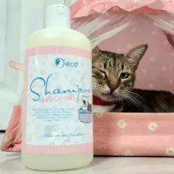 Shampoo para mascotas