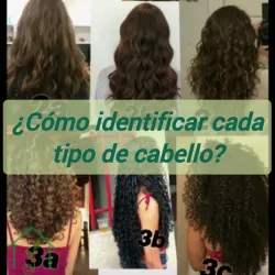 Tipos de cabello 