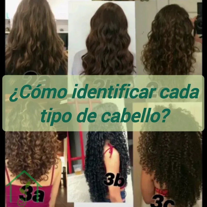 Tipos de cabello 