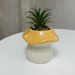 Planta de hongo