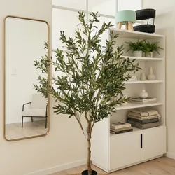 Planta de olivo