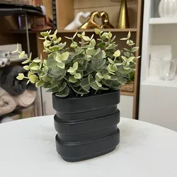 Planta decorativa