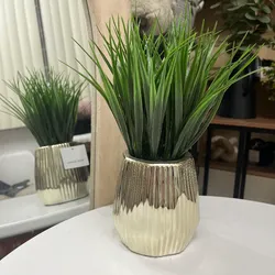 Planta decorativa