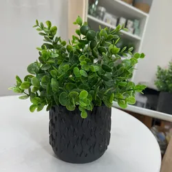 Planta decorativa