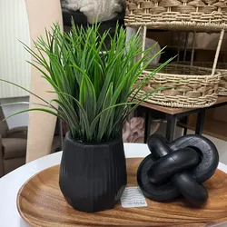Planta decorativa
