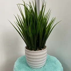 Planta para decoración artificial
