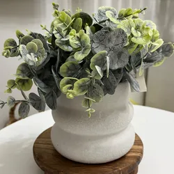 Planta para decoración