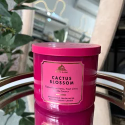Vela aromática