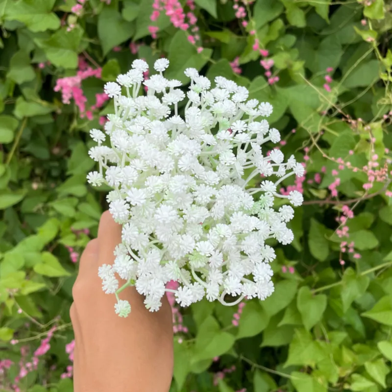 Gypsophila Artificial 