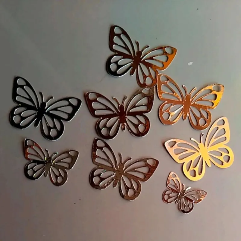 Mariposas 🦋 