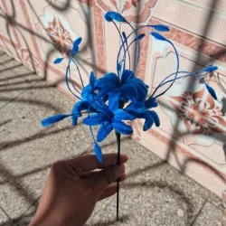 Lirio de araña azul