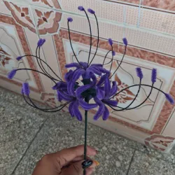 Lirio de araña morado fuerte