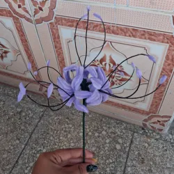 Lirio de araña morado lila